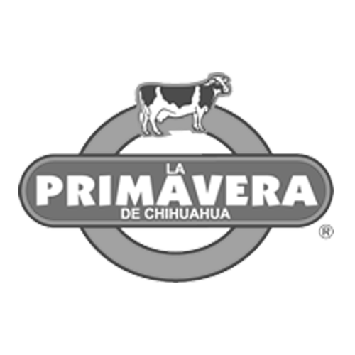 La primavera de Chihuahua